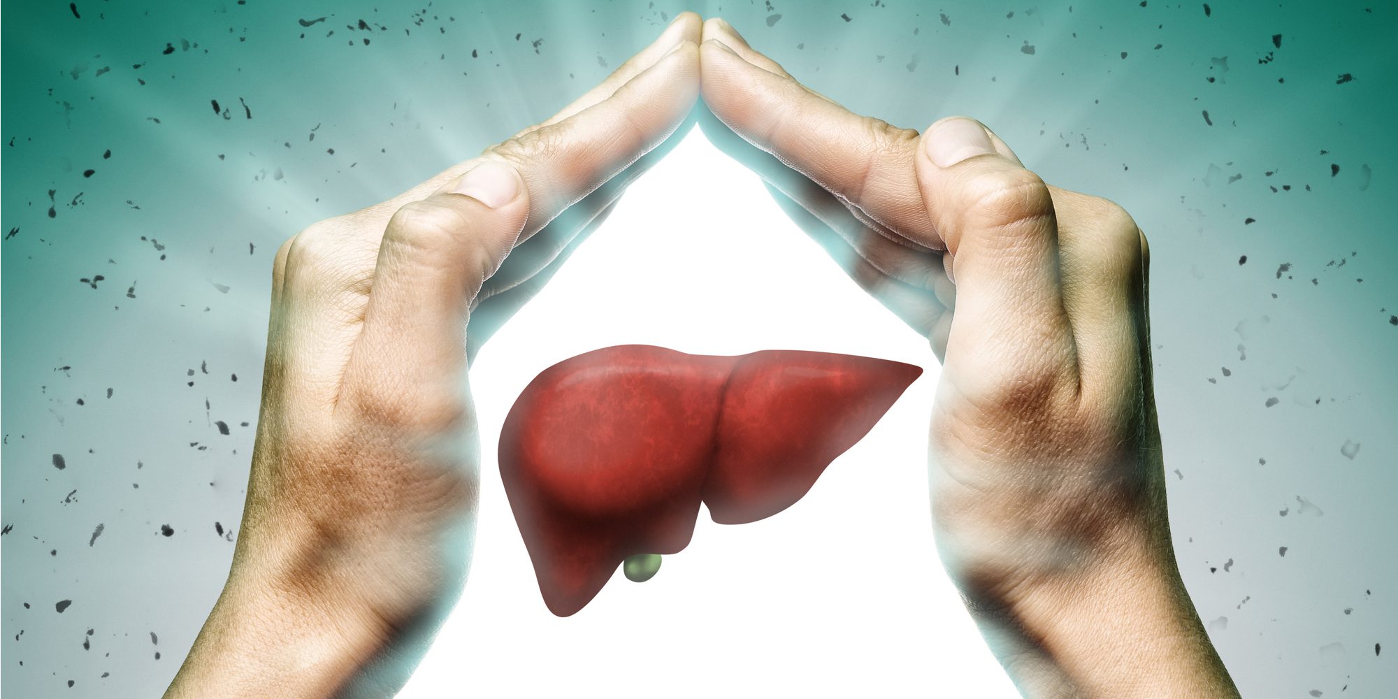 Can The Liver Heal Itself Alcohol Liver Damage FAQ In 2021 