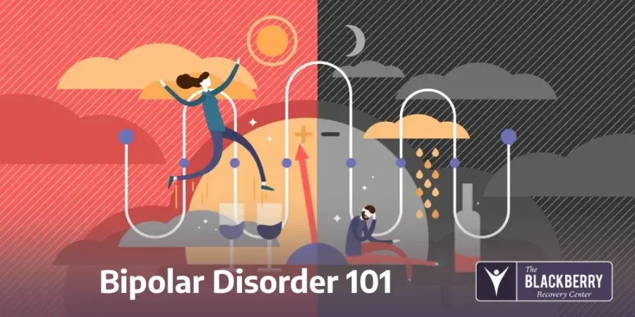 Bipolar Disorder 101